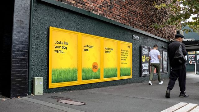 ASB, The Monkeys Aotearoa, campaignbrief