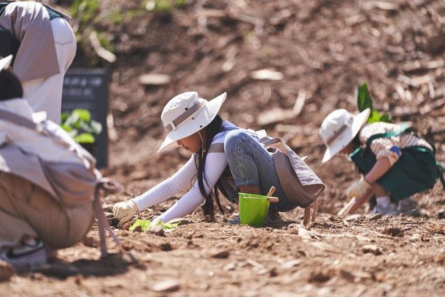 ©AP신문(AP뉴스)/이미지 제공 = 한화그룹 ▲태양의 숲 조성을 위해 식재 중인 아이들의 모습