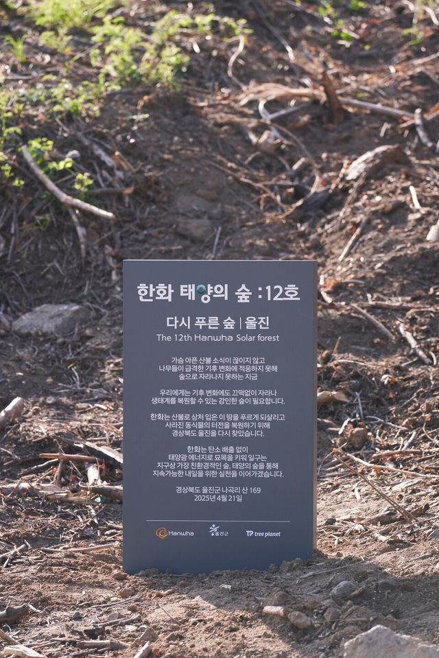 ©AP신문(AP뉴스)/이미지 제공 = 한화그룹 ▲태양의 숲 12호 현판