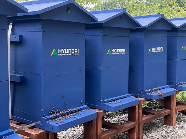 ©AP신문(AP뉴스)/이미지 제공 = 현대엔지니어링 ▲서울 강북구 북서울꿈의숲에 조성된 ‘꿀벌 서식지’ 내 꿀벌을 위해 마련된 거주지.