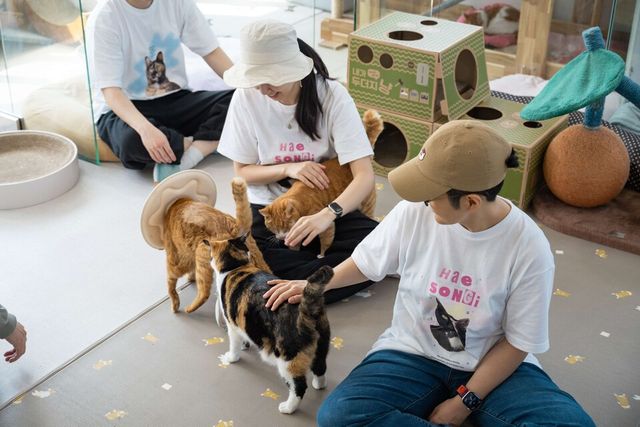 ©AP신문(AP뉴스)/이미지 제공 = 토스뱅크 ▲토스뱅크는 지난 5월 30일 임직원 19명이 동물자유연대의 동물 보호소인 온독(On Dog, 경기 남양주시)과 온캣(On Cat, 경기 파주시)을 찾아 봉사활동을 진행했다.
