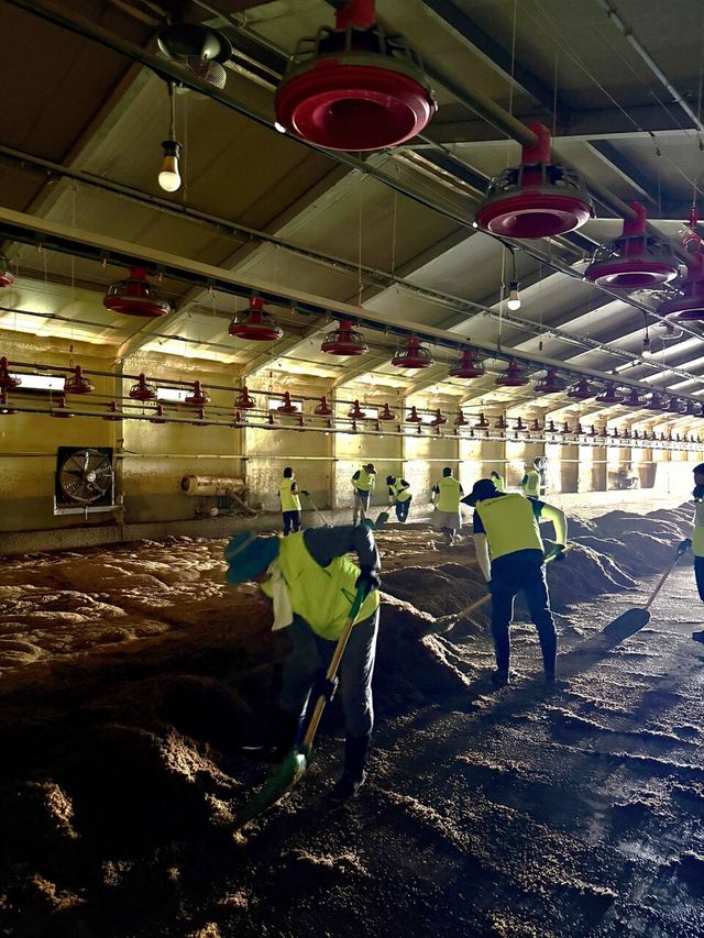 ©AP신문(AP뉴스)/이미지 제공 = 농협중앙회 ▲농협 임직원들이 수해 복구 현장에서 구슬땀을 흘리고 있다.