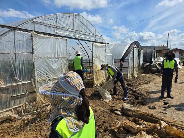 ©AP신문(AP뉴스)/이미지 제공 = 농협중앙회 ▲농협 임직원들이 수해 복구 현장에서 구슬땀을 흘리고 있다.