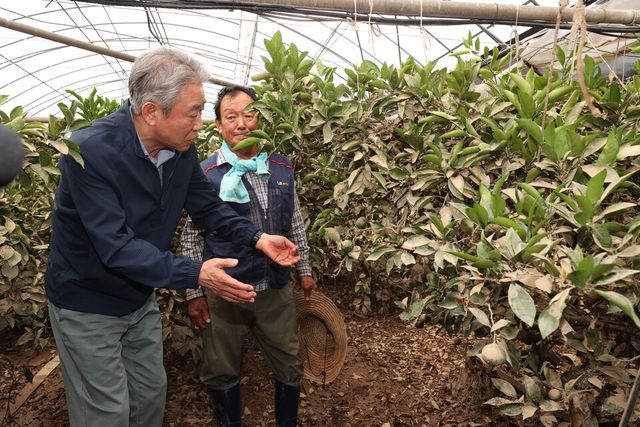 ©AP신문(AP뉴스)/이미지 제공 = 농협중앙회 ▲강호동 농협중앙회장이 폭우 피해현장을 둘러보며 농업인을 위로하고 있다.