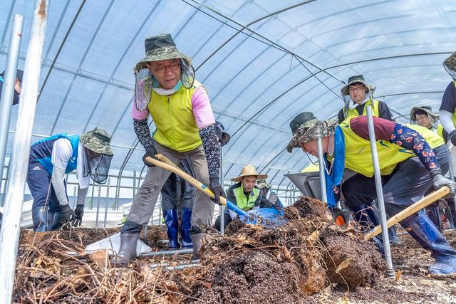 ©AP신문(AP뉴스)/이미지 제공 = NH농협금융지주 ▲NH농협금융은 24일 충남 홍성군 금마면에서 집중호우 피해농가 일손 돕기를 실시했다. 이찬우 회장과 직원 봉사단이 딸기 농가의 토사 제거 작업을 하고 있다.
