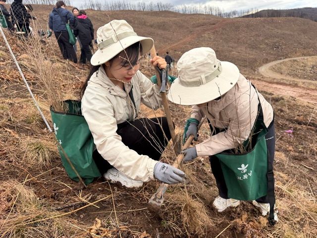 ©AP신문(AP뉴스)/이미지 제공 = SK텔레콤 ▲SKT와 유한킴벌리 임직원 가족 100여명은 지난 4일 안동 산불 피해 지역에서 나무심기 활동을 진행했다.