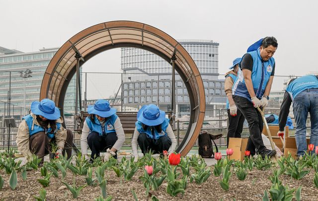 ©AP신문(AP뉴스)/이미지 제공 = 대우건설 ▲대우건설 임직원들이 ‘대우건설 Nature’의 정원 정돈을 하고 있다.