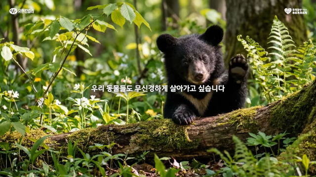 [AP신문 광고평론 No.1583]&nbsp; 야생동물을 주인공으로 내세운 유한킴벌리 캠페인 시리즈. 사진 유한킴벌리 유튜브 캡처ⓒAP신문(AP뉴스)