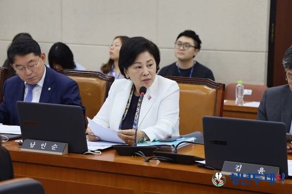 남인순 더불어민주당 국회의원 (사진=남인순 의원실)