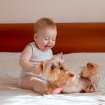 남자가 깨무는 이유, 귀여운 공격성에 대하여 알아봅니다.