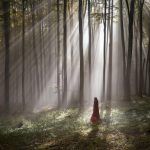 에코이스트 (Echoist) 원인 가족과 문화 배경으로 알아보기