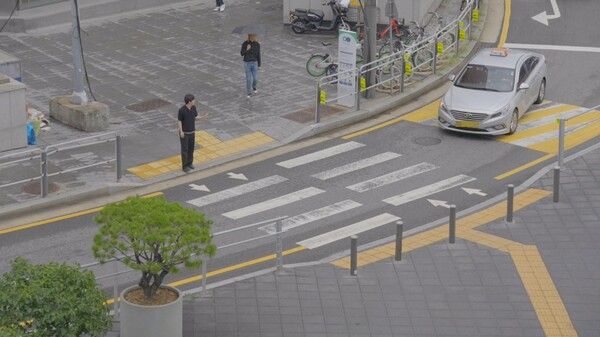 횡단보도 앞에서 보행자가 손짓했을 때 일시정지하는 차량 모습