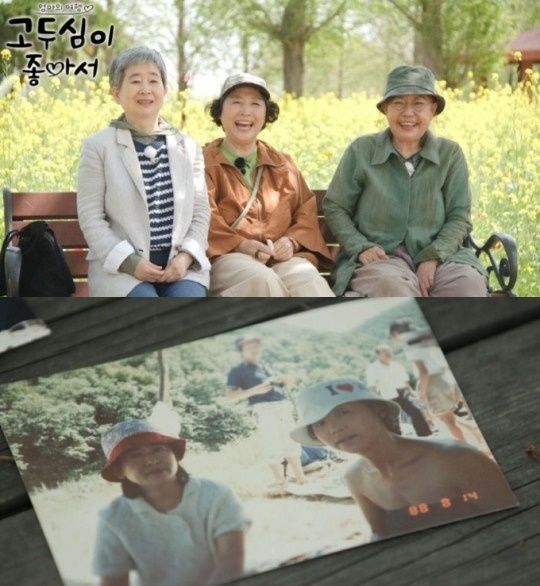 (채널A '엄마의 여행 고두심이 좋아서' 갈무리)