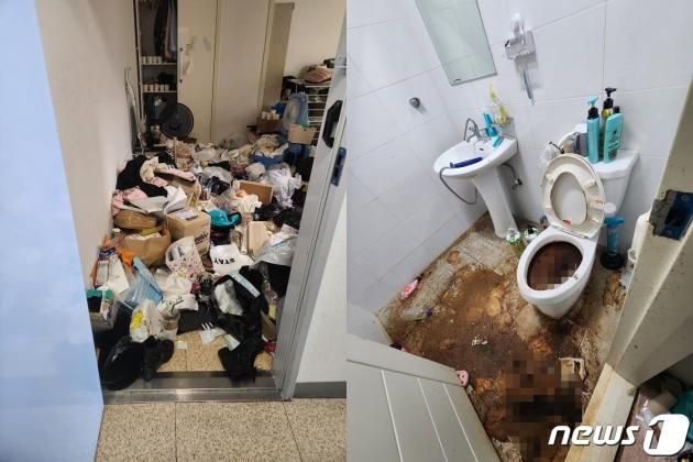 ('보배드림' 갈무리)