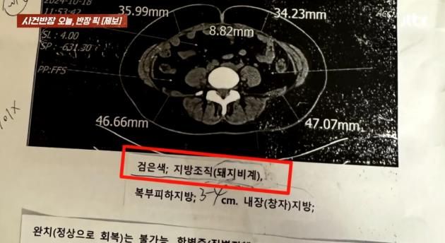 (JTBC '사건반장')