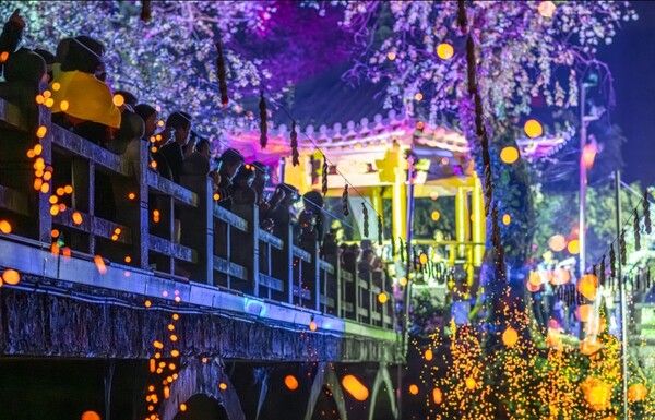 낙화놀이 스페셜데이에 방문한 일본인 관광객들이 낙화를 즐기고 있다