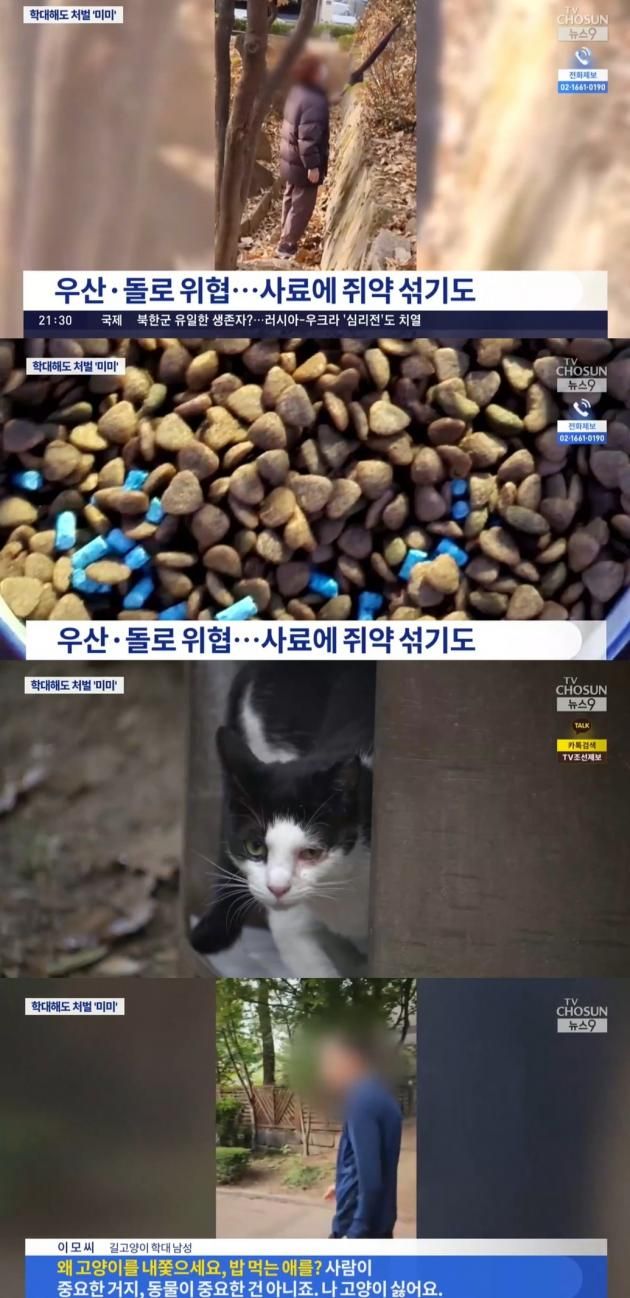 (TV조선 갈무리)