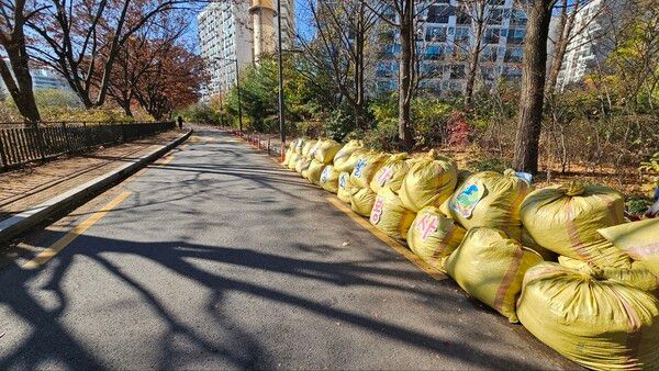 16일 신천지자원봉사단 서울동부지부가 노원구 당현천 일대에서 수거한 낙엽이 자루에 담긴 모습. (사진 제공 = 신천지자원봉사단 서울동부지부)