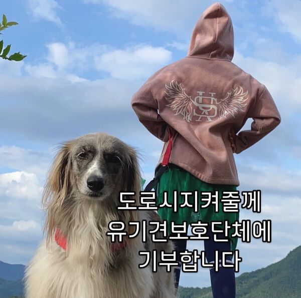 박수연 뒷모습(사진 : 박수연 인스타그램)