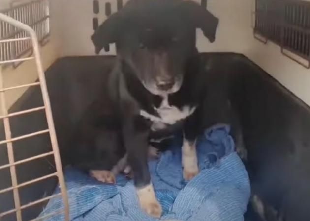 (유튜브 '그남자의 멍한여행' 갈무리)