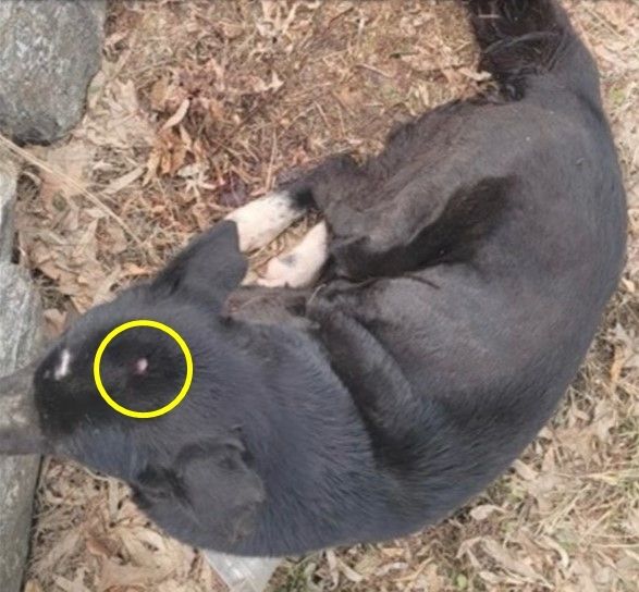 (유튜브 '그남자의 멍한여행' 갈무리)