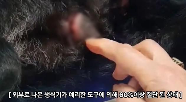 (유튜브 '그남자의 멍한여행' 갈무리)