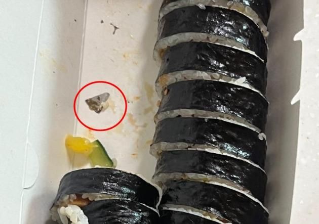 (보배드림 갈무리)