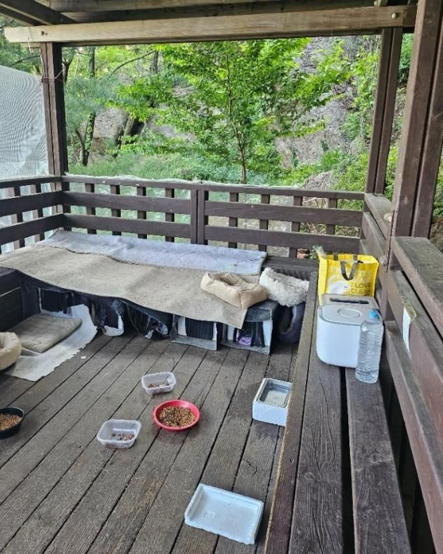 (온라인 커뮤니티 갈무리)