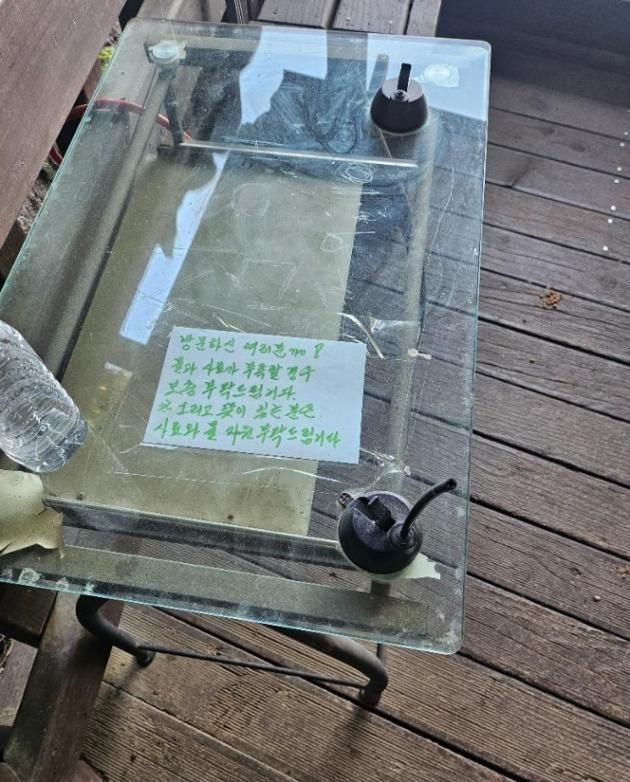 (온라인 커뮤니티 갈무리)