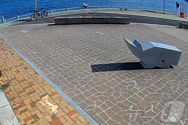 지난해 10월11일 경남 거제시 옥포항 수변공원에서 피해자 C 씨가 바다에 입수하기 위해 난간을 넘고 있다. (창원해경 제공)