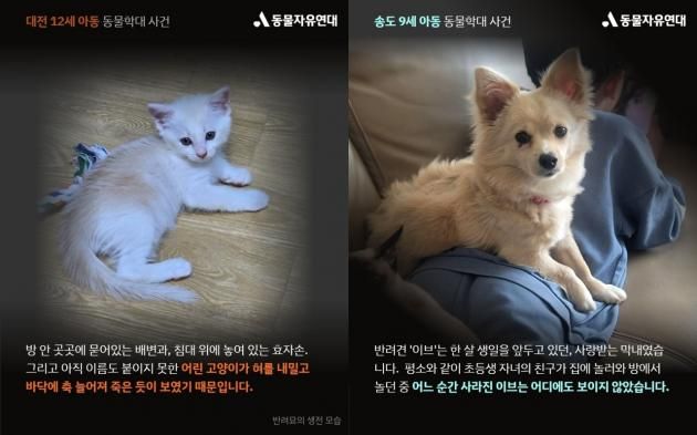 (동물자유연대)