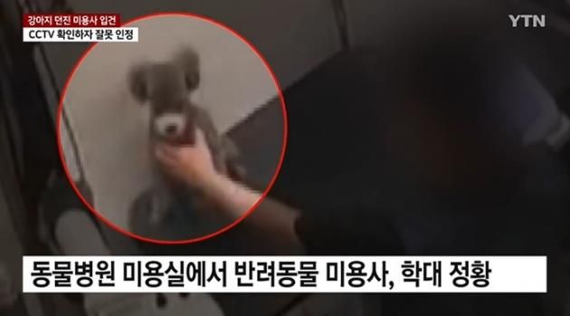 (YTN 뉴스 갈무리)