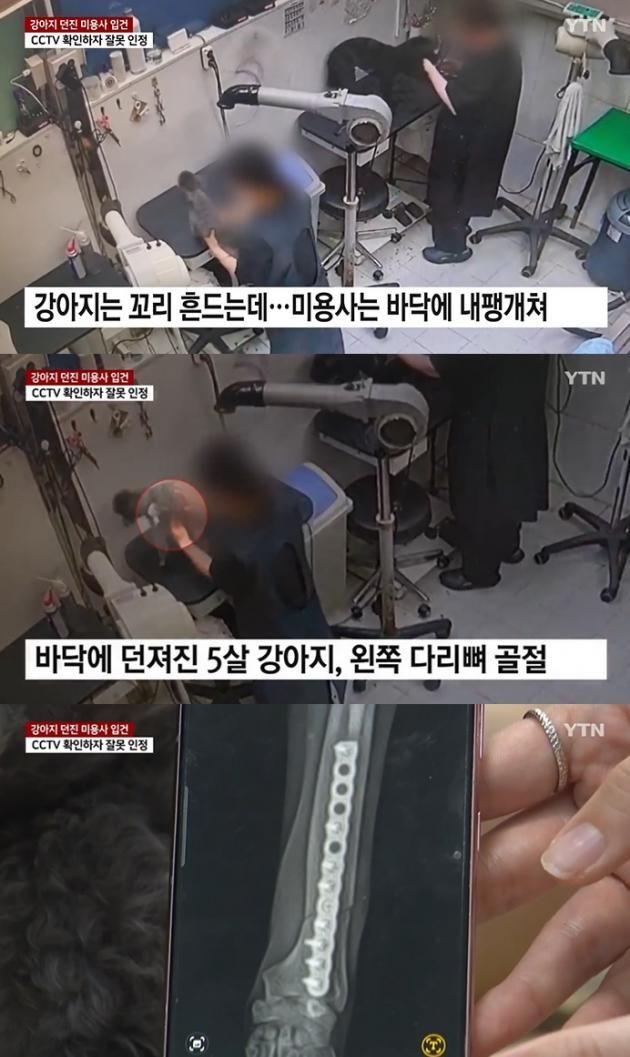 (YTN 뉴스 갈무리)