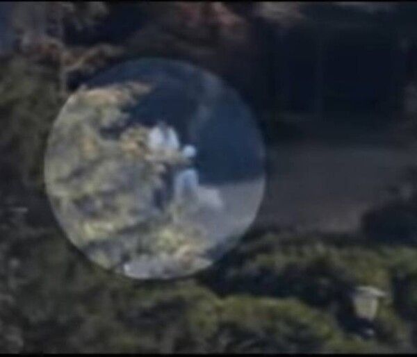 대통령 관저 안에서 한 여성이 개를 산책시키는 모습. 오마이티브이(TV) 유튜브 갈무리