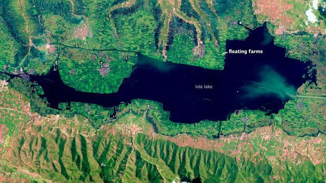 부유식 농장으로 인해 미얀마 인레 호수의 수면 면적이 크게 줄어들었다