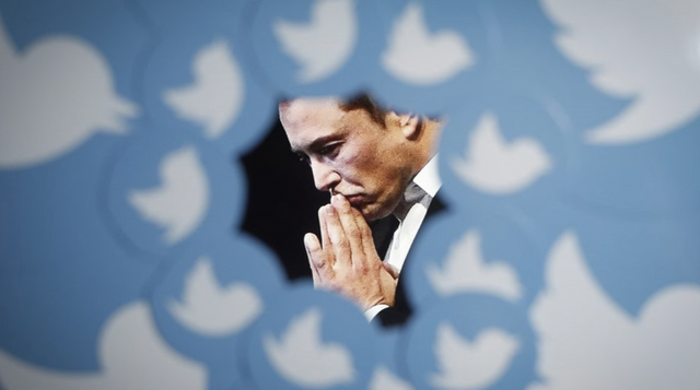 트위터의 새로운 주인이 된 일론 머스크 CEO