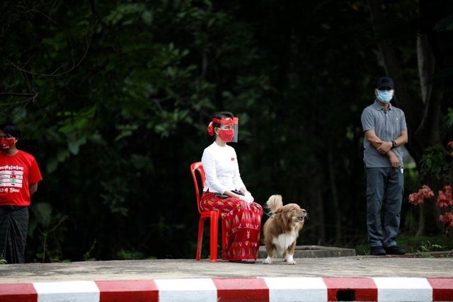 개와 함께 앉아 있는 수치 전 고문의 모습