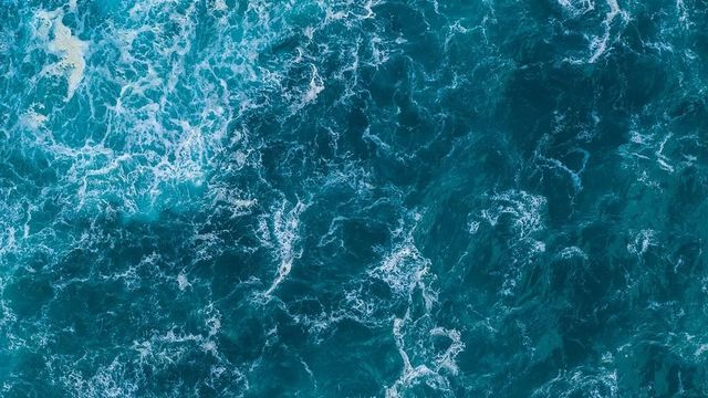 비행기에 들어가는 기술이 언젠가는 바다를 '투명한' 공간으로 만들 수 있을까? 현재로서는 먼 미래의 일이다