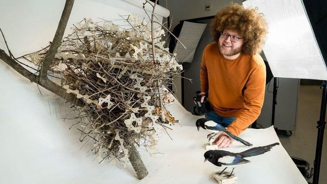 스파이크를 이용한 까치 둥지