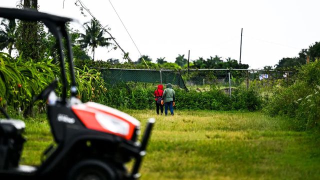풀밭에 서 있는 노동자들