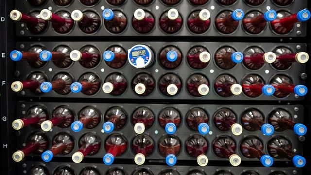 질병 치료에 제대혈을 사용할 수 있는 분야가 늘어나면서, 의료 자원으로서 기증된 제대혈이 가진 잠재적 가치도 커지고 있다