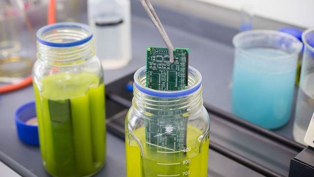 형광 초록색 용액에 회로기판을 담그는 모습