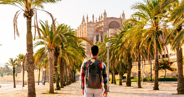 야자수 사이를 지나가고 있는 여행객의 뒷모습 