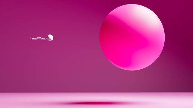 수정란에 정자가 결합하는 모습을 보여주는 컬러 이미지