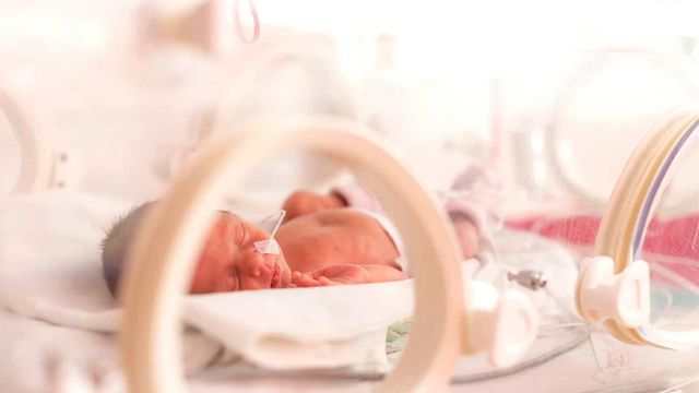 인큐베이터 안의 신생아