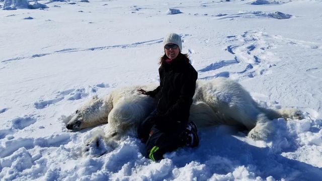 미국 ‘지질조사국’의 야생동물 생물학자 카린 로드 박사와 진정제를 맞고 누워 있는 야생 북극곰
