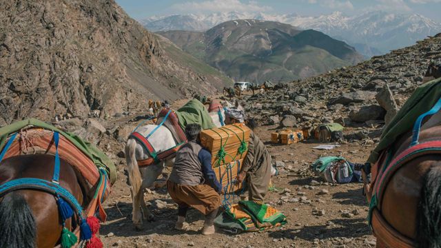 2017년 5월 8일, 이라크 국경 지역에서 이란으로 술을 밀수하기 위해 상자를 짐 싣는 쿠르드 밀수업자들