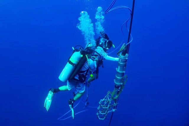 과학자들은 바다에 수중청음기를 설치해 향유고래가 내는 소리를 수집했다 