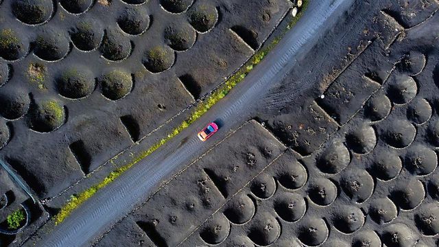 각 분화구의 조감도를 보면 그 중심에 덩굴이 있음을 알 수 있다 