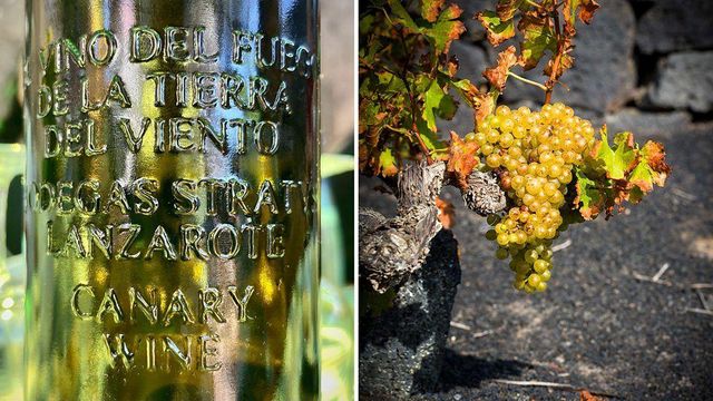 스트라트브스 와인(왼쪽)과 화산재에서 자라는 포도(오른쪽) (Credit: Sofia Perez; El Grifo)